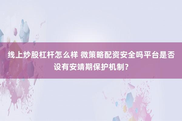 线上炒股杠杆怎么样 微策略配资安全吗平台是否设有安靖期保护机制？