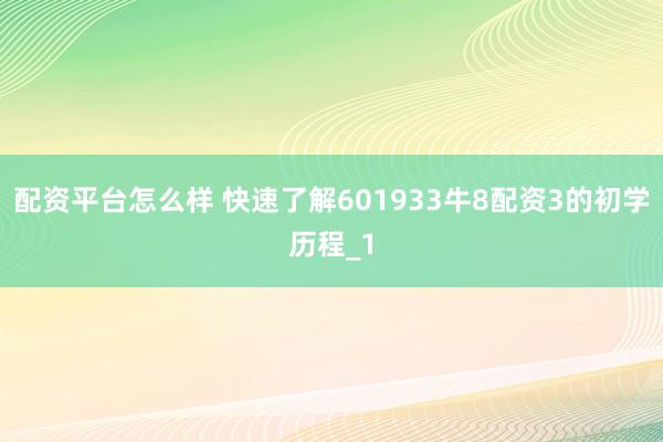 配资平台怎么样 快速了解601933牛8配资3的初学历程_1